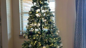 Un árbol de Navidad en una habitación con piso de madera y una ventana con persianas.
