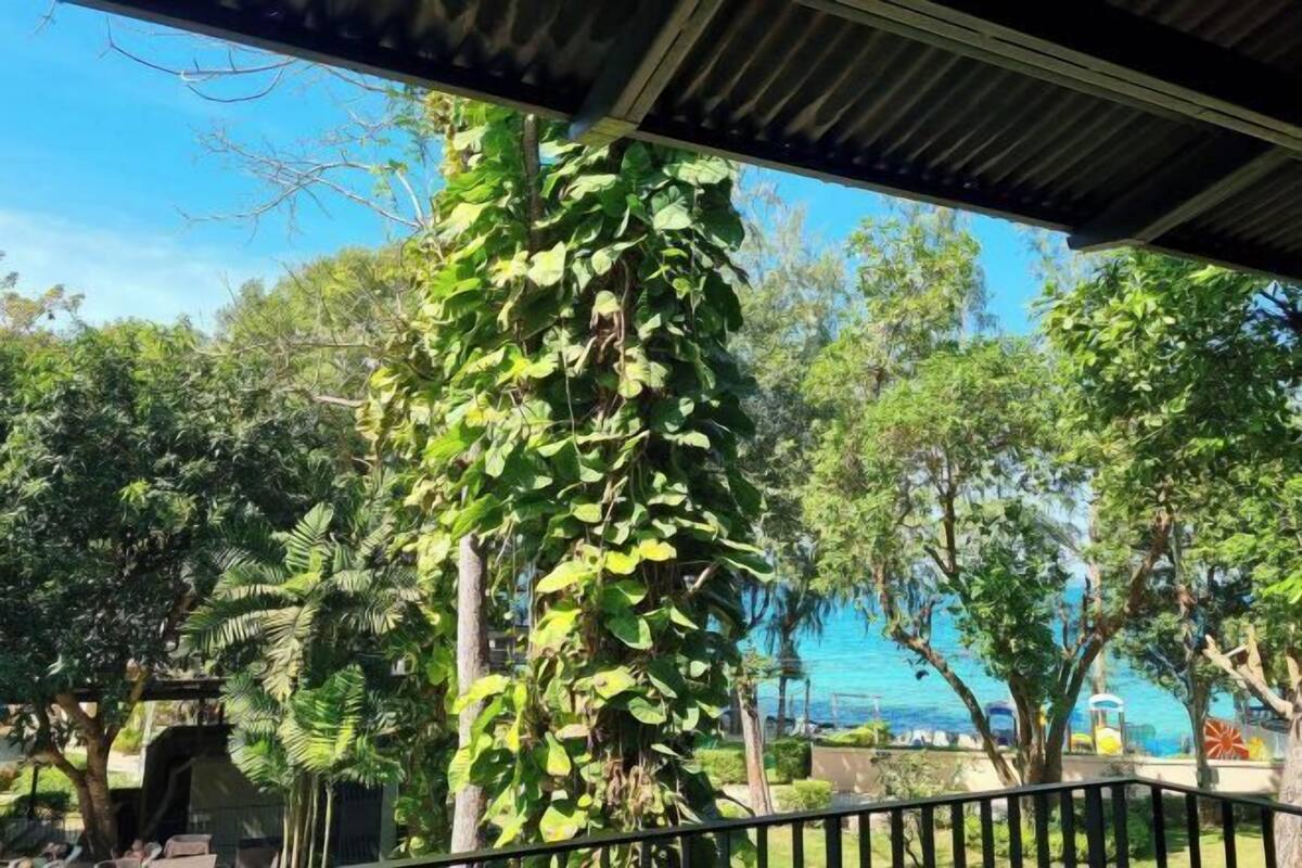Un espacio al aire libre cubierto con vista al mar, rodeado de abundante vegetación y una barandilla metálica.
