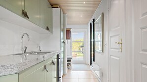 Una cocina estrecha con armarios verdes, un lavamanos de acero inoxidable y una puerta que da a un jardín.