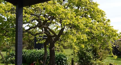 Beautiful Havelock North Country Cottage on Organic Orchard. Pet friendly.