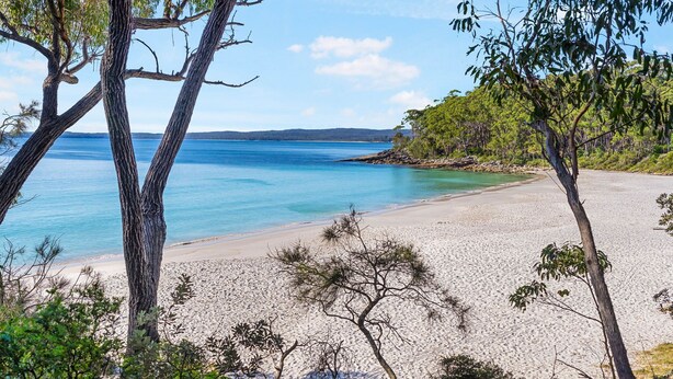 Ein Strand mit klarem, blauem Wasser, sandigem Ufer und Bäumen.