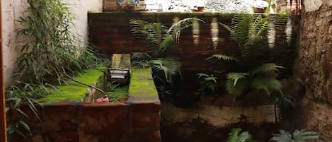 Comfort Room | Terrace/patio