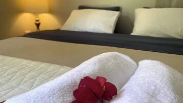 1 slaapkamer, wifi, beddengoed