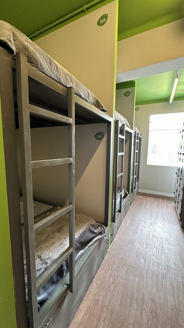 Bunk beds with numbers 303 and 304, wooden flooring, and a window with a view. - Hostel Distrito 011 (São Paulo)