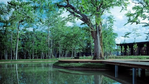 A serene outdoor area with a reflective pond, surrounded by tall trees and a wooden deck. - SONEKA (Kitahiroshima)