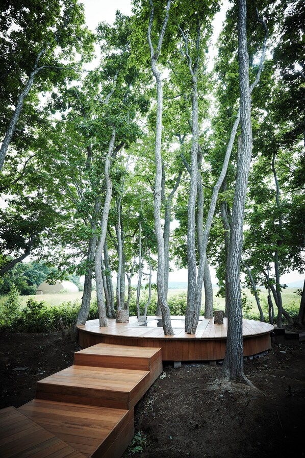 Une terrasse en bois avec des marches menant à une plateforme circulaire en bois, elle-même entourée de grands arbres.