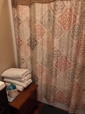 Assecador de cabells, tovalloles, sabó i xampú 