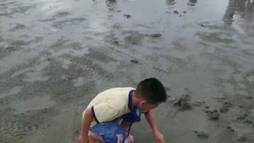 Playa