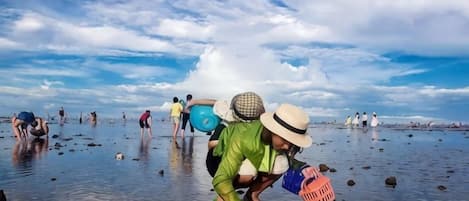 Escena de playa con gente vadeando en aguas poco profundas, algunas llevando objetos.