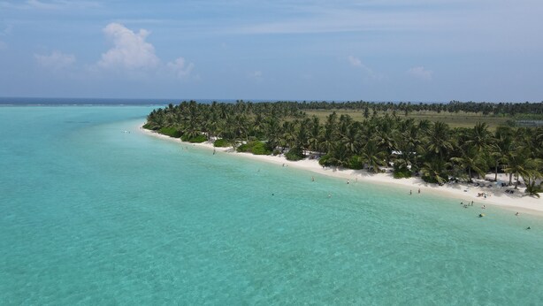 A tropical beach with clear turquoise waters, palm trees, and a sandy shore. - Ramzu Villa (Thoddoo)