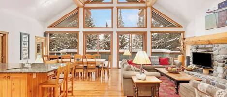 Télévision, cheminée, espaces bureaux