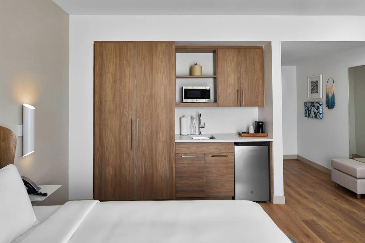 A modern hotel room with a wooden wardrobe, a microwave, a sink, and a compact dishwasher.