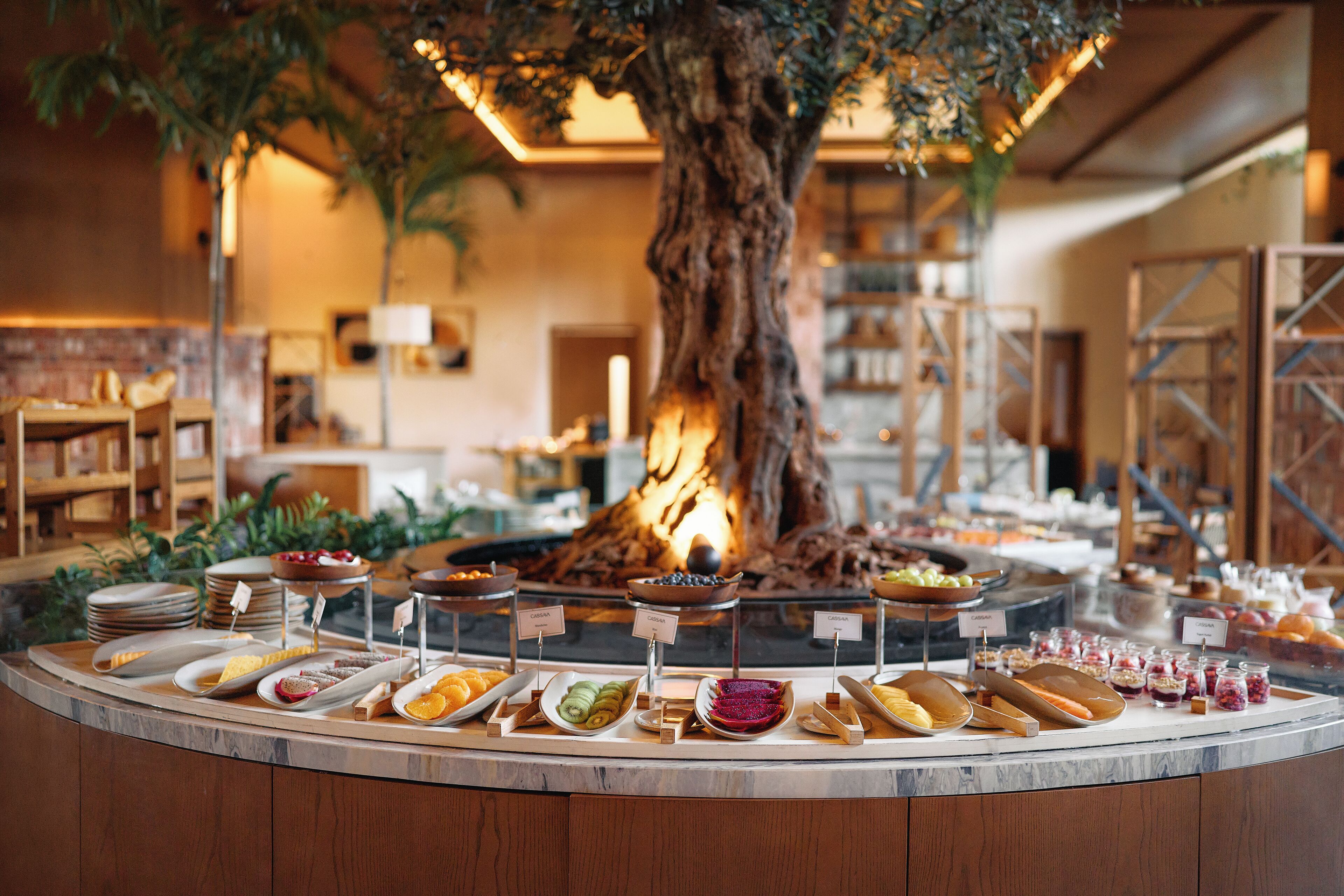 A buffet area with various food items and a large tree in the background.