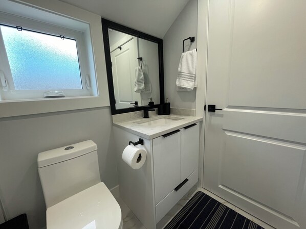 A modern bathroom with a toilet, sink, and mirror. - Duplex in Vancouver (Vancouver)