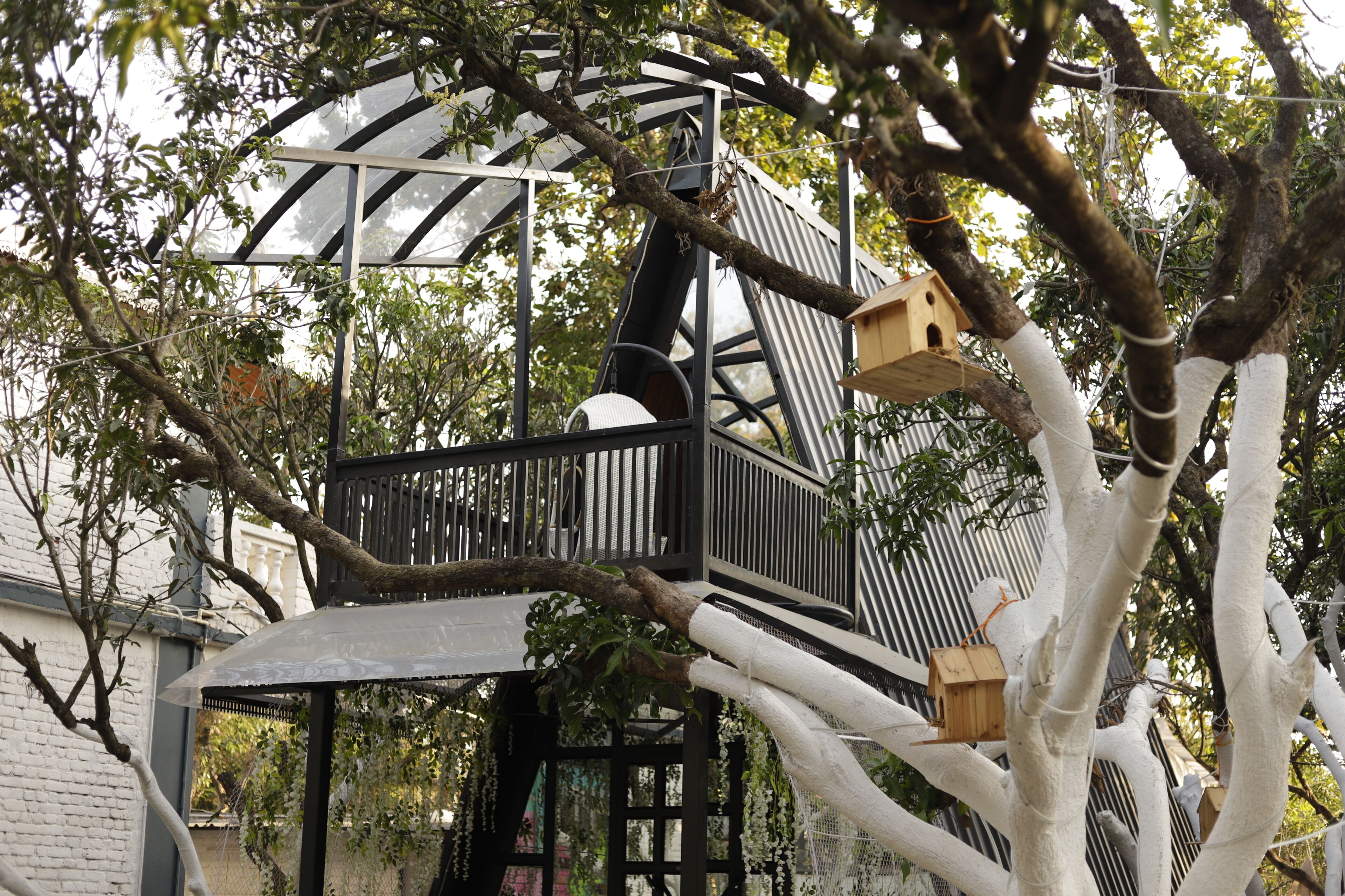 Una casa en el árbol con techo transparente, una plataforma de madera y un comedero para pájaros.