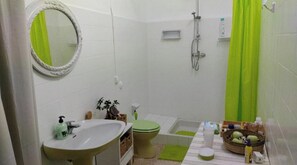 Shower, hair dryer, bidet, towels