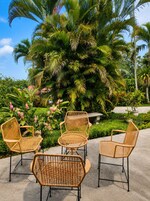 A patio area with wicker furniture and a large palm tree.