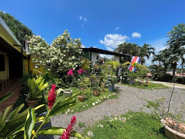 A garden with various potted plants and flowers, a flag, and a building with a yellow facade.