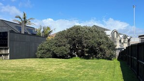 A well-maintained grassy yard with a large bush, a wooden fence, and a building with a sloped roof.