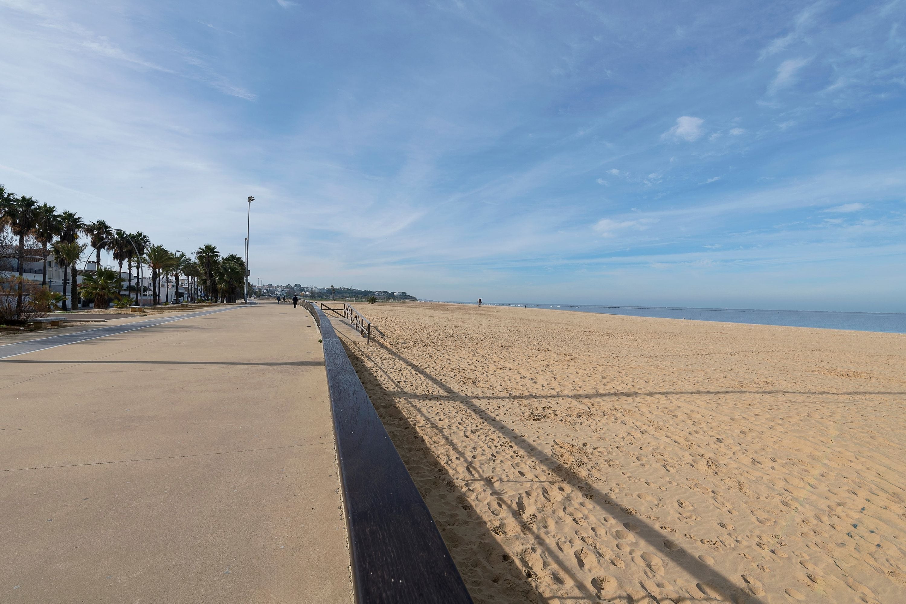A wide, sandy beach with a clear sky and palm trees lining the left side.