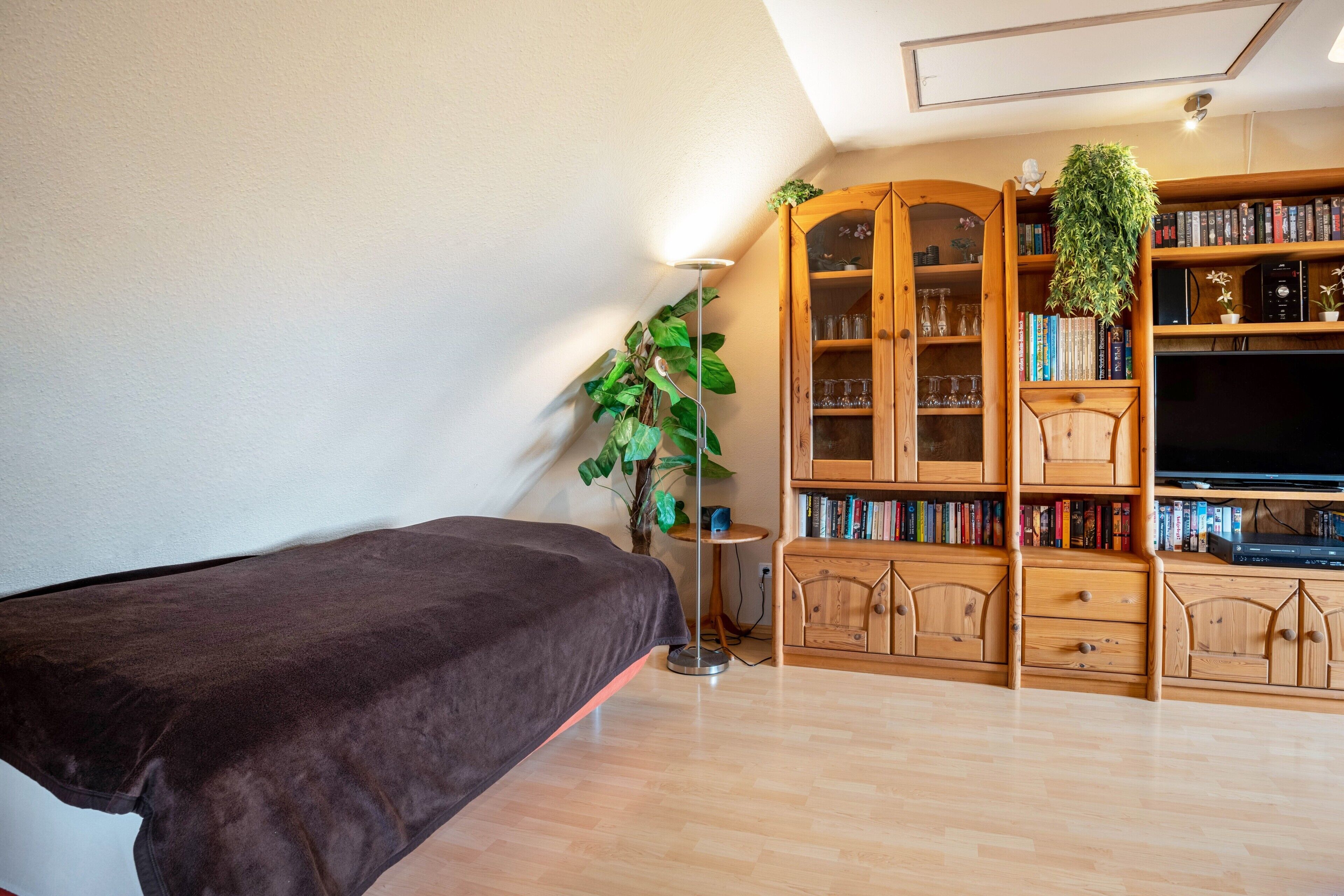 Ein Zimmer mit einem Bett, einem Bücherregal, einem Fernseher und einer Pflanze.