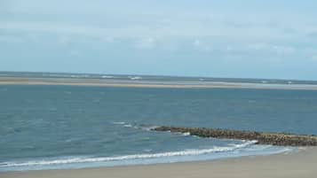 Una playa cerca