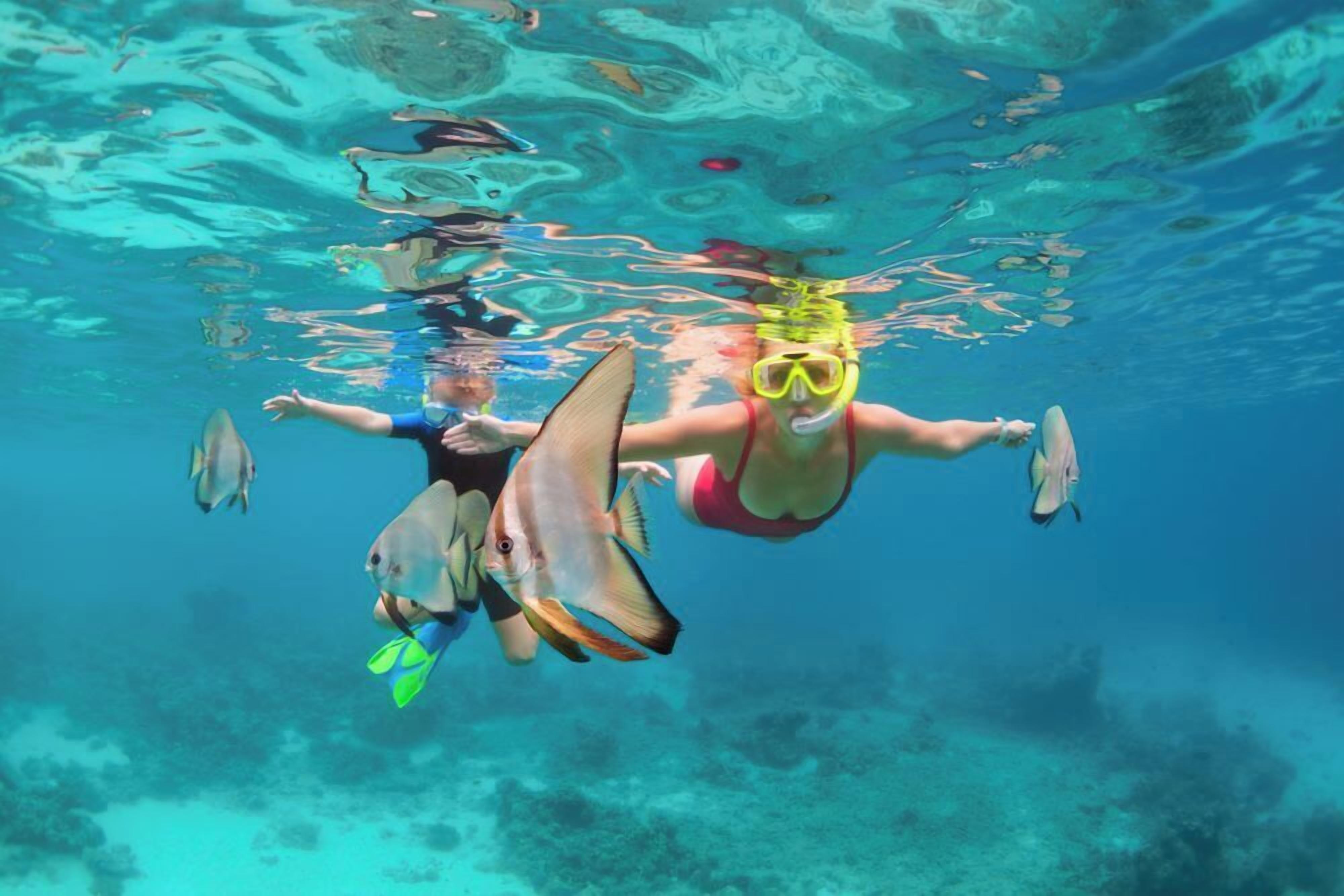 Two people snorkeling underwater with fish around them.