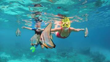 Two people snorkeling underwater with fish around them.