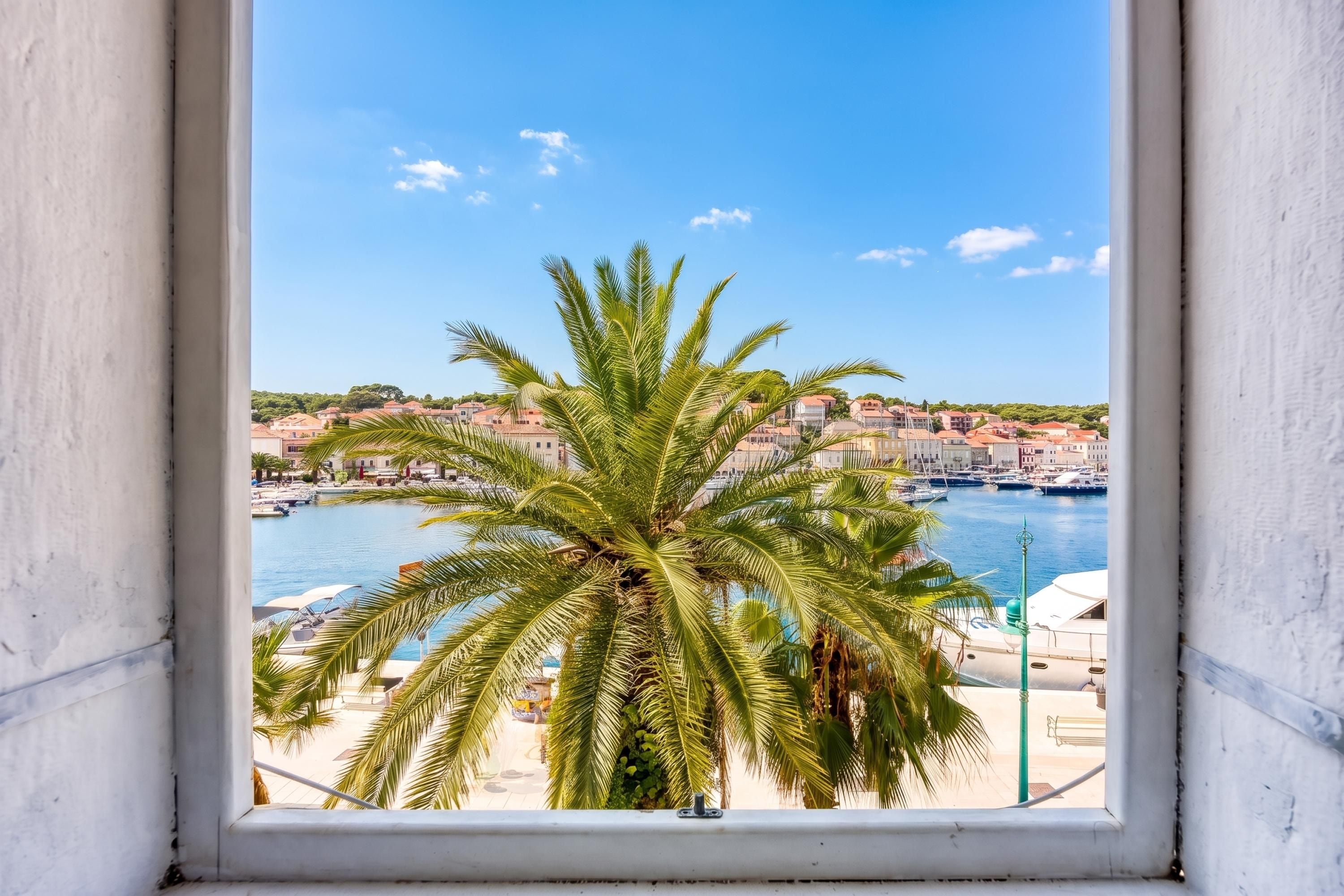 Un pueblo costero con un puerto deportivo, edificios y una palmera en primer plano.