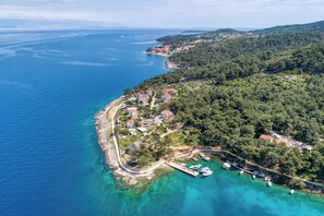 Vista aérea de uma vila costeira com casas, um cais e barcos.
