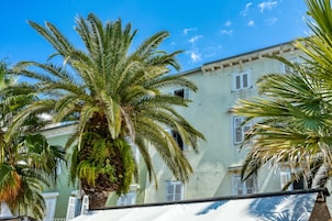 Un edificio con varias ventanas y una palmera frente a él.