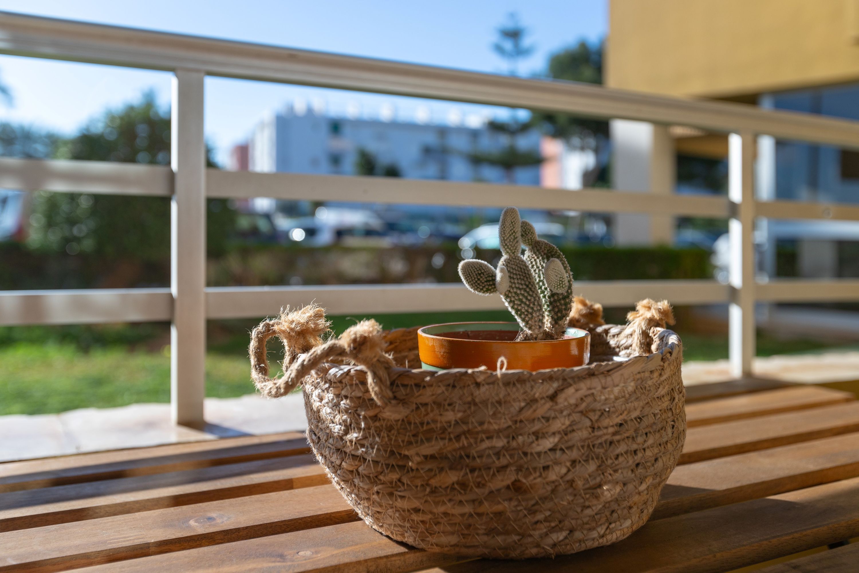 A woven basket with a cactus plant on a wooden bench.