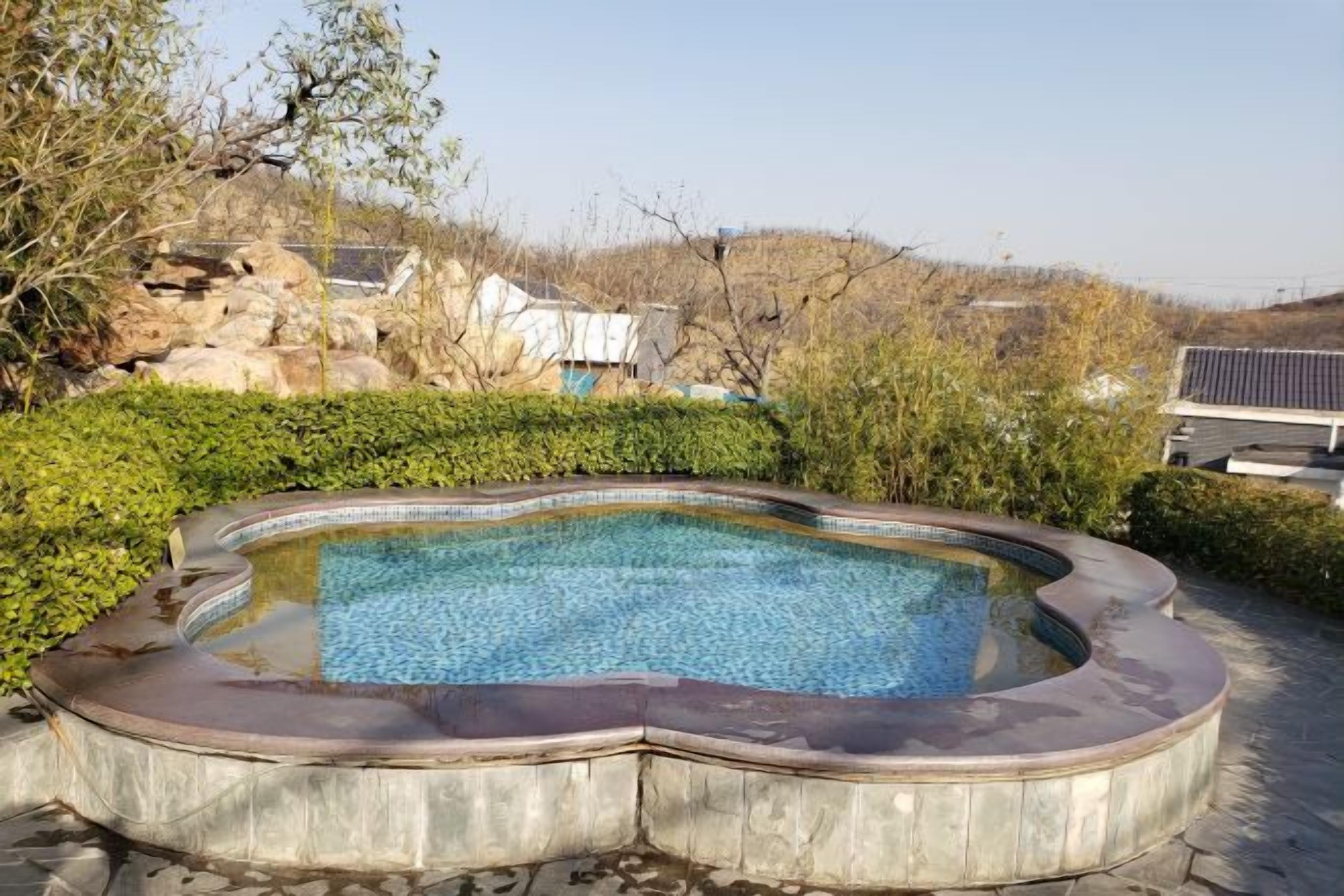 A swimming pool with a curved edge, surrounded by a stone border, set in a landscaped area with bushes and trees.