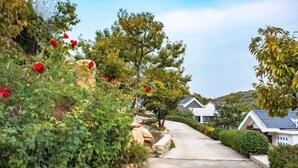 A pathway leading to a house with a stone border and lush greenery. - Fuquan Xingong Hot Spring Resort (Zunhua)