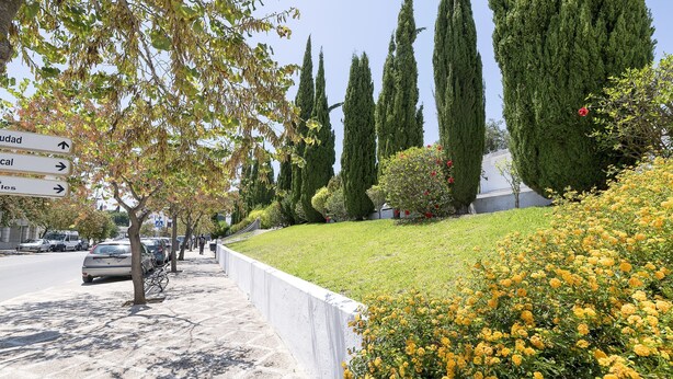 A sidewalk with directional signs, a tree-lined path, and a grassy area with yellow flowers. - Enjoy Arcos in Arcos de la Frontera (Arcos de la Frontera)