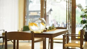 A dining area with a wooden table and chairs, a glass bowl with flowers, and a view through large windows. - Starway Hotel (Dujiangyan Scenic Area Nanqiao) (Dujiangyan)