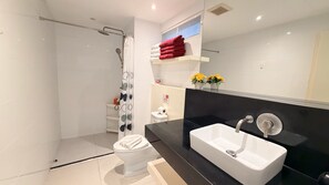 Shower, hair dryer, towels