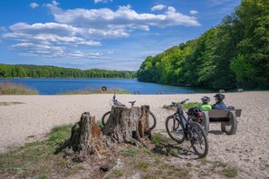 Une plage de sable avec un lac, des arbres et un banc en bois sur lequel sont posés deux vélos et des casques.