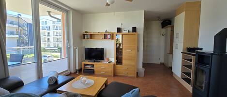 Televisión, chimenea, reproductor de DVD y libros