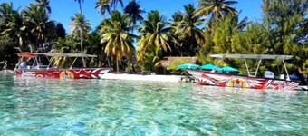 Hitinui and Tiarenui house