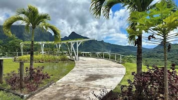 Área da propriedade