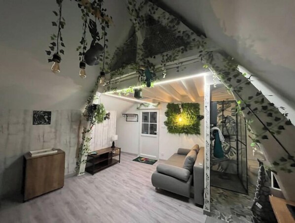 Interior - Atypical attic studio with exterior (Saint-Aignan)