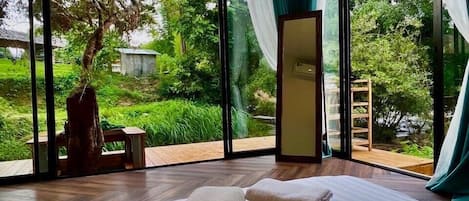 واي فاي مجانًا