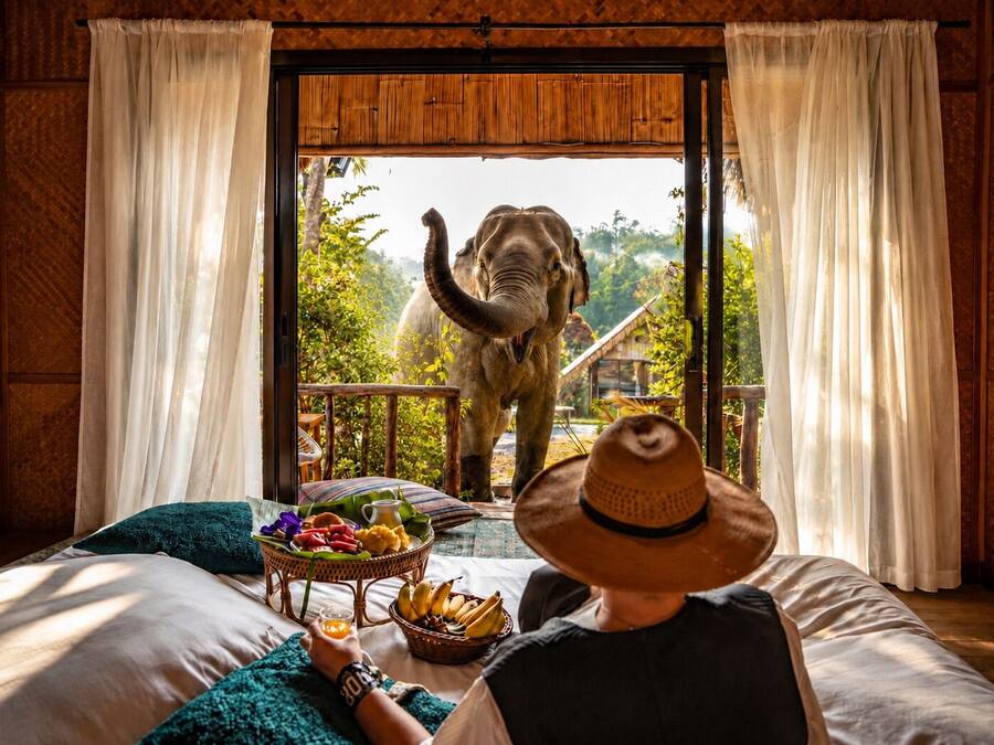 Habitació amb un llit, una taula de menjador amb una cistella de fruita, i vista a un elefant a l'exterior.