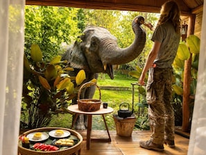 Una persona interactuando con una gran estatua de elefante en un jardín.