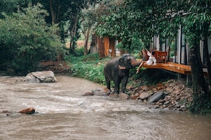 Phòng 4, quang cảnh sông | Khu phòng khách