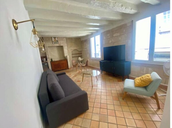 Living area - Appartement de Charme Vieux Tours #centre (Tours)