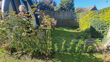 Cabin | Property grounds