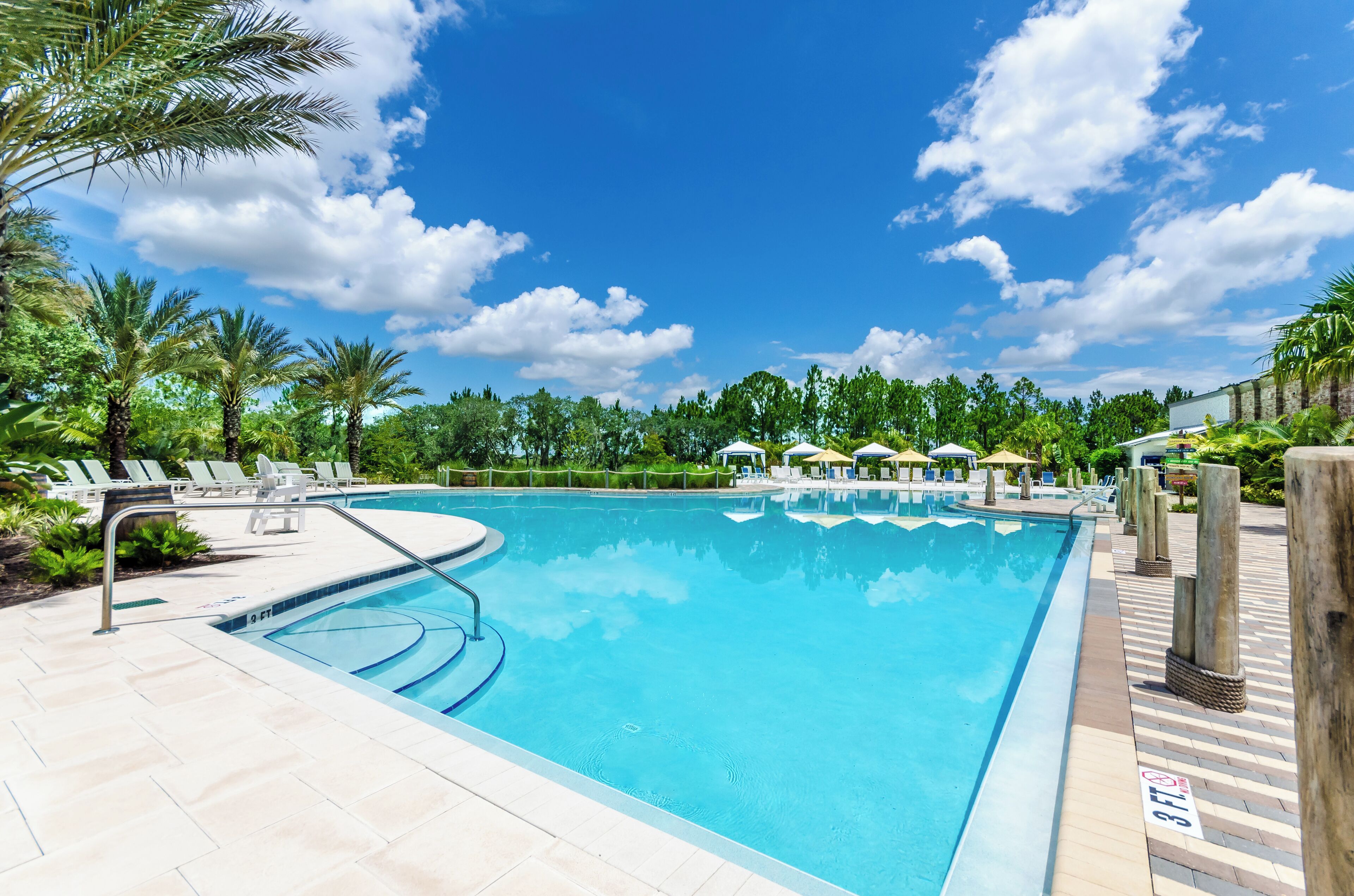 Une piscine d’un bleu éclatant, bordée de chaises longues et d’ombrelles, entourée de palmiers et de verdure, sous un ciel ensoleillé.
