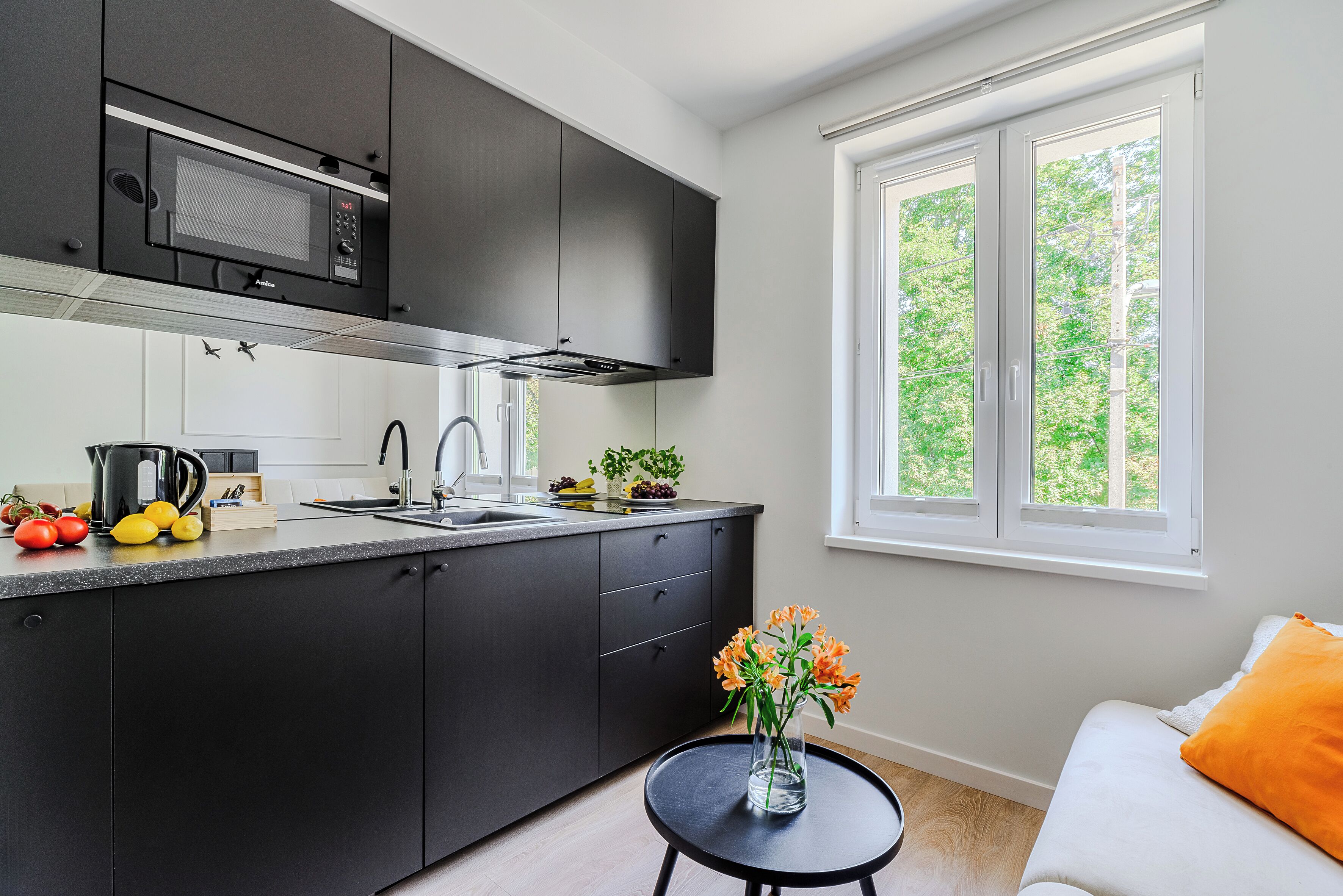 Economy Studio Suite, Courtyard View | Private kitchen | Stovetop, electric kettle, cookware/dishes/utensils